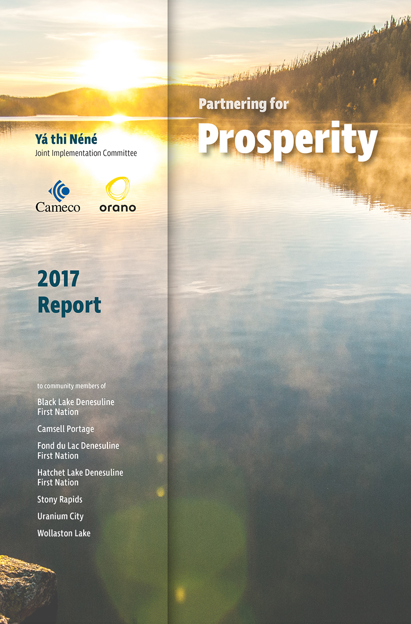 Partnering for Prosperity - Yá thi Néné - 2017 Report cover