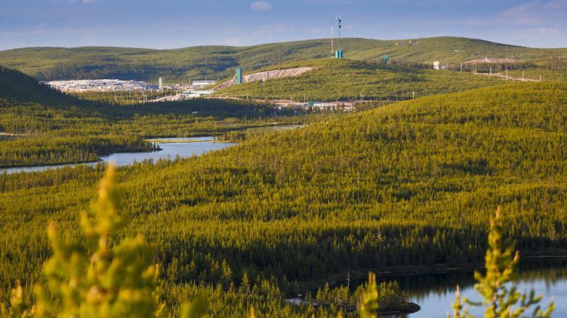 Landscape of grassy field